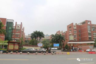 马上开盘 小编实地探访马銮湾两大纯新盘,价格是