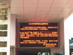 在厦门花几百万上幼儿园,仍逃不过半夜起来排队