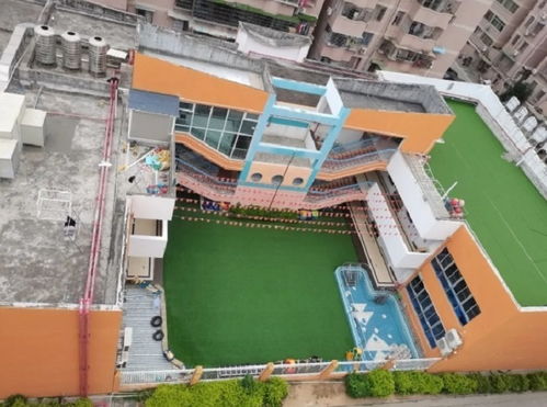 聚焦湖里学前教育 厦门市实验幼儿园满足群众“幼有优育”新期待